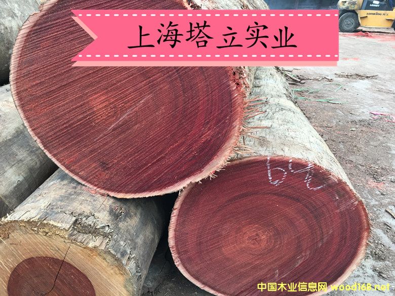 �t��ľ ��Ħ�� �t�̈́�ľ ����ľ�ذ��Ԕ��(x��)��B