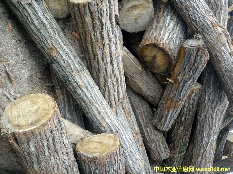 ԭľ����ľ����ľ������ľ��