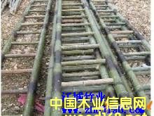 �����ӵ�Ԕ����B