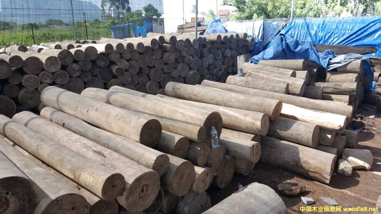 ������G̴