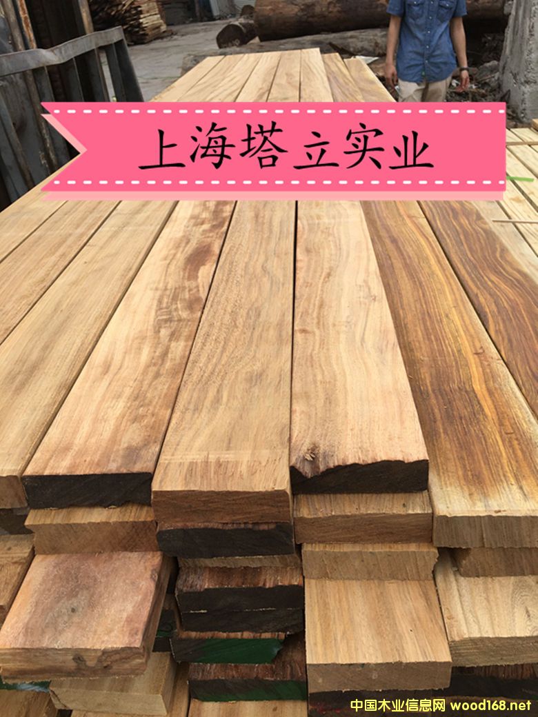 ���޲��}�����ľ�Ĉ@�־��^�����ذ�