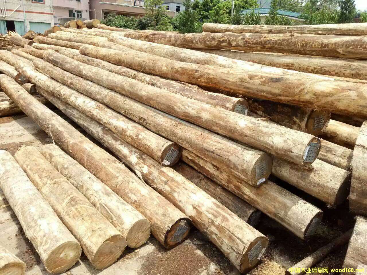 õ�����Ԕ��(x��)��B