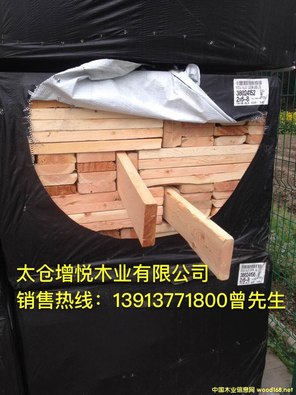 ̫�}�������l(f��)���ɶ��ϣ��Fɼ�������������