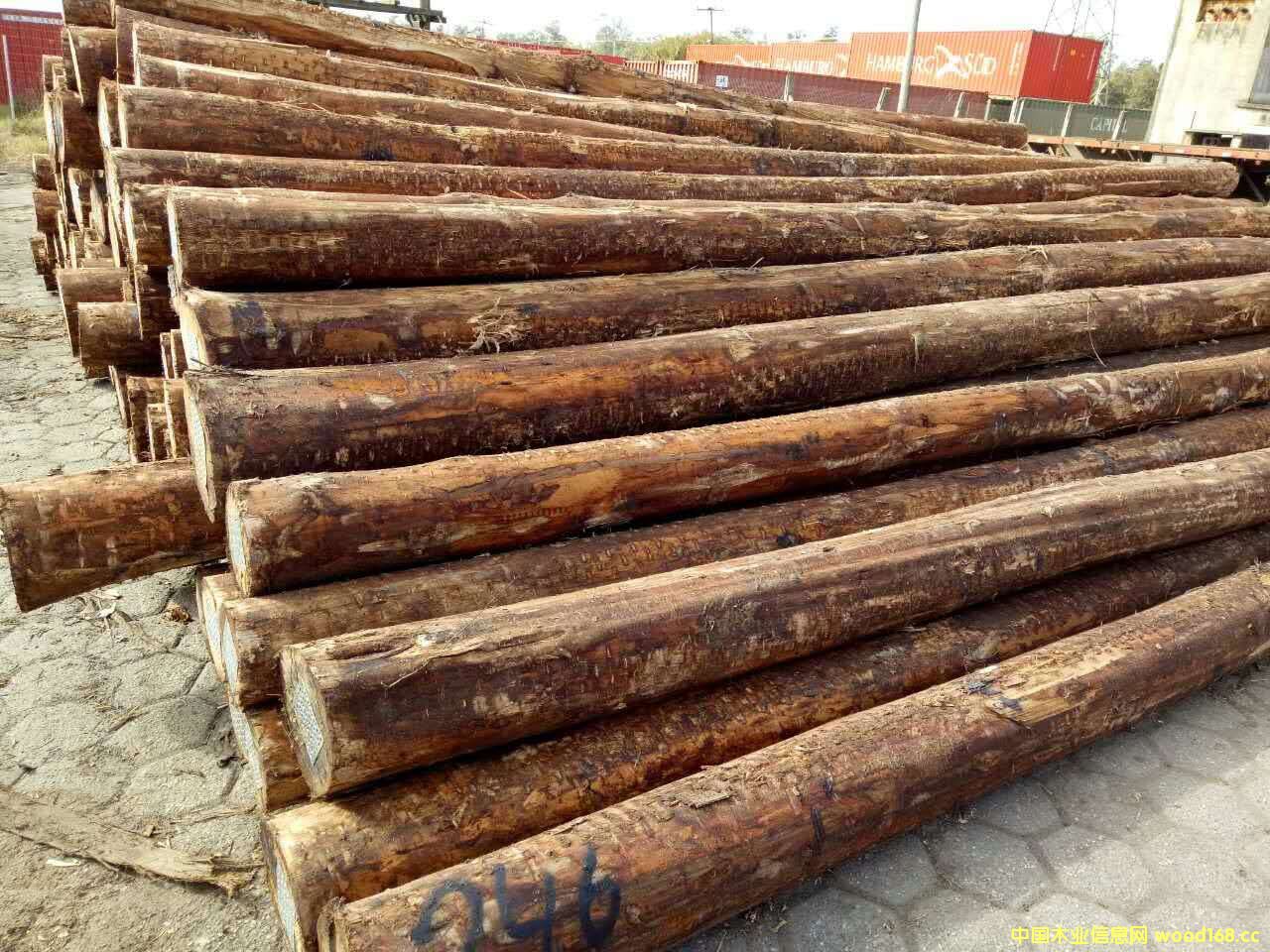 ����õ����ԭľ