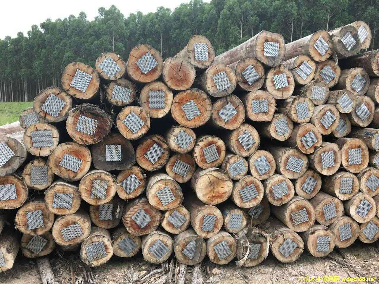 ���м�(j��)��ľ������õ���񣩵�Ԕ��(x��)��B