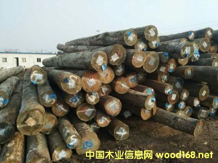 �������骣���Ԕ��(x��)��B