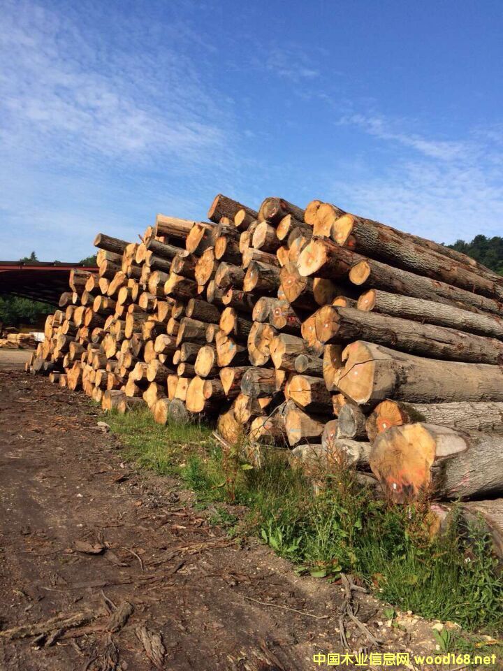 �W����ľԭľ��Ԕ����B