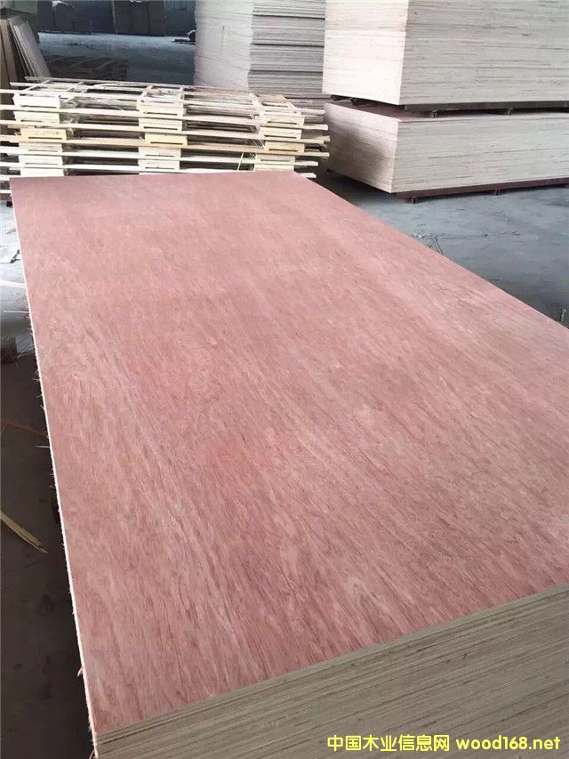 Bintangor Plywood