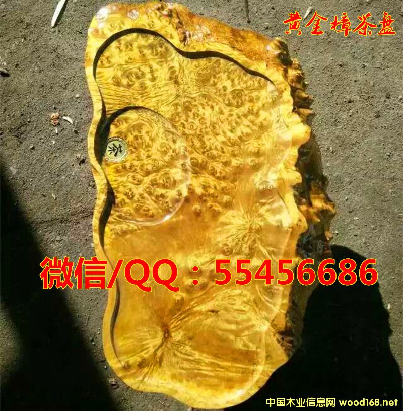 �S������P(p��n)��Ԕ��(x��)��B