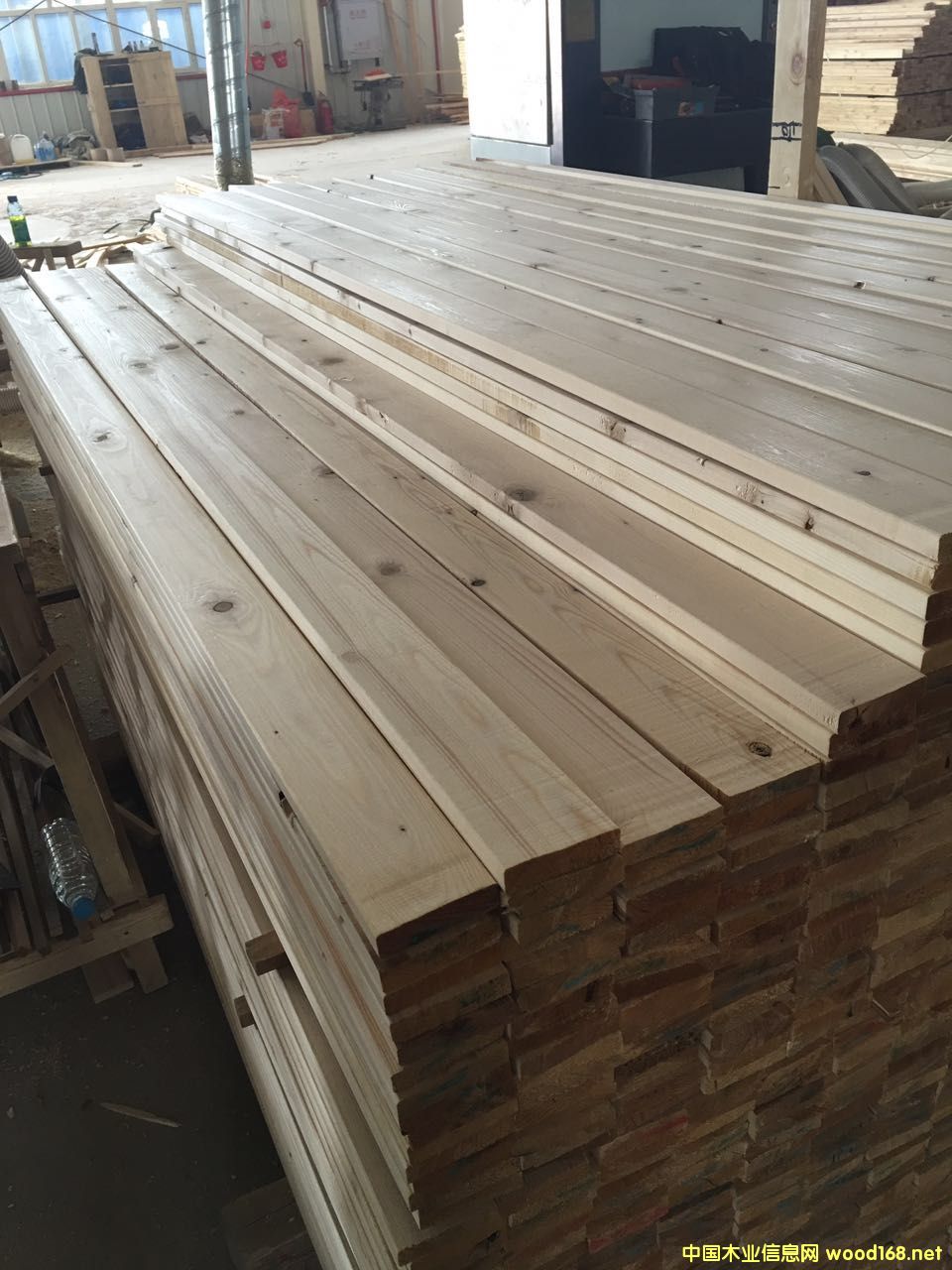 ��ľ����