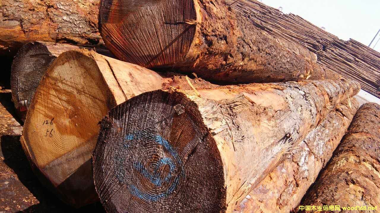 ������ԭľ���󏽱����ĵ�Ԕ����B