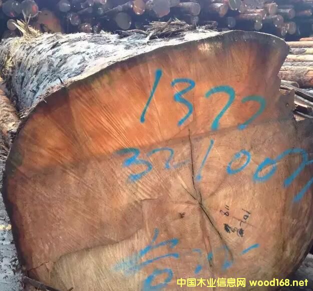 �M�ڼ��ô��Fɼ������ԭľ��Ԕ����B