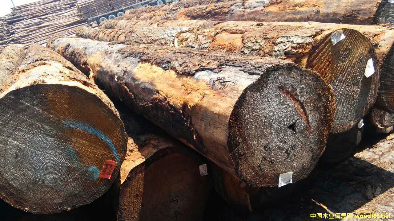 ������ԭľ���󏽱����ĵ�Ԕ����B