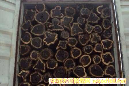 �V�����Ǟ�ľ�M(j��n)�ڈ��P(gu��n)����