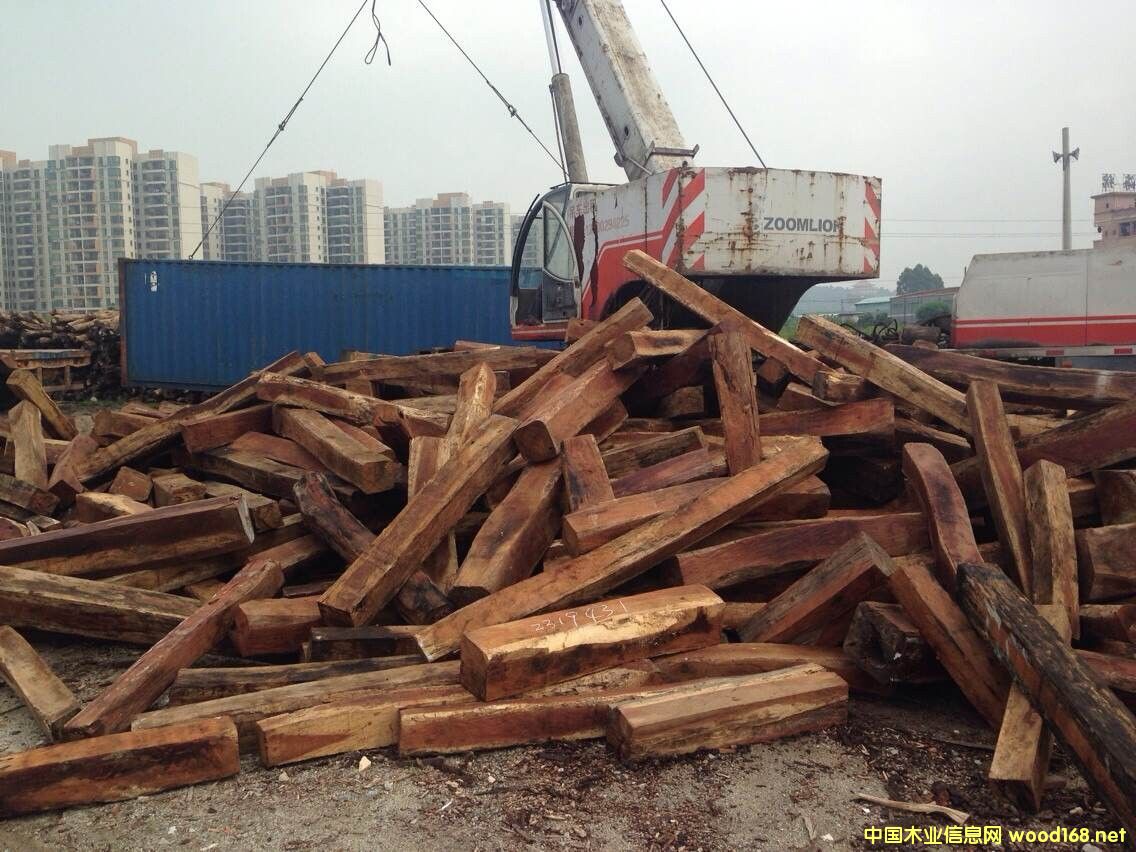 �ϓ�W���S̴�M(j��n)�ڈ��P(gu��n)����