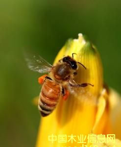 ��?zh��)��r�I(y��)�ЙCʳƷ�r����?zh��)����?><br>
                      <font size=3><b>��?zh��)��r�I(y��)�ЙCʳƷ�r��</b></font></a></div>
                  </td>
                </tr>
                 
              </table>
              
            </td>
          </tr>
          </tbody> 
        </table>
        <table border=0 cellspacing=0 cellpadding=0 width=