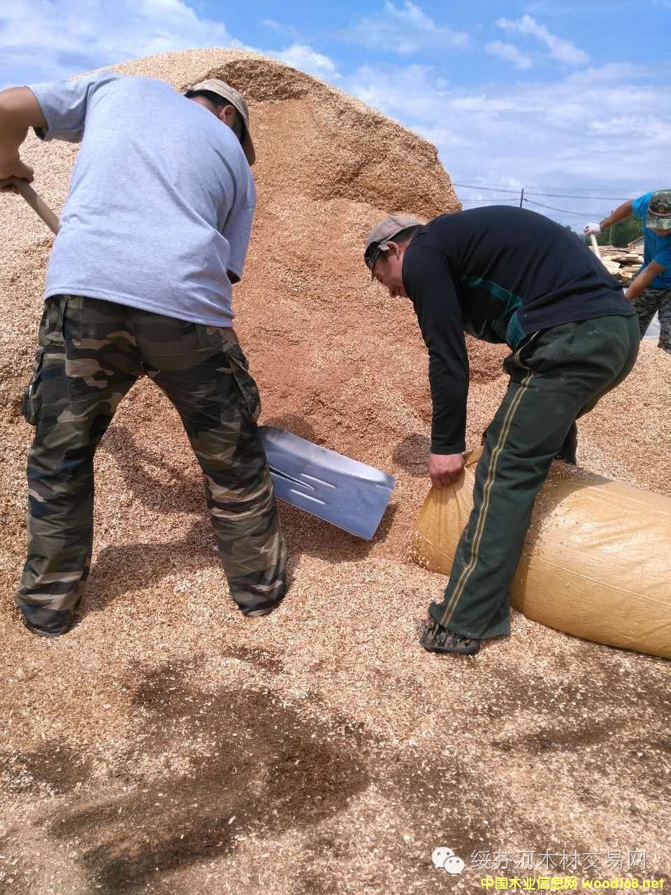 ��ľ����ľʳ�þ��ĩ�w��