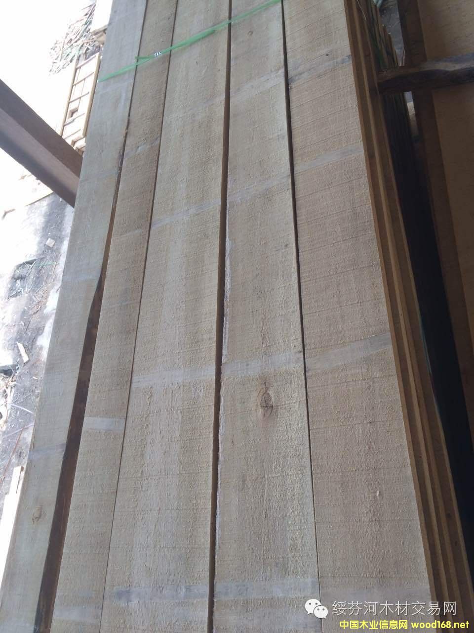 ���_˹�ľ���~�����