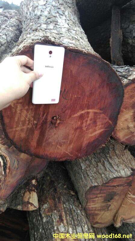 �Ϸ�ľ�ĵ�Ԕ��(x��)��B