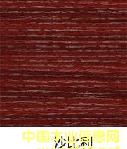 沙比利的詳細(xì)介紹