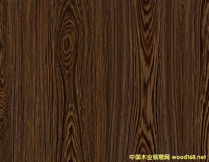 E1��(j��) �u��ľ�y�������� ����� �h(hu��n)���ҾӰ�