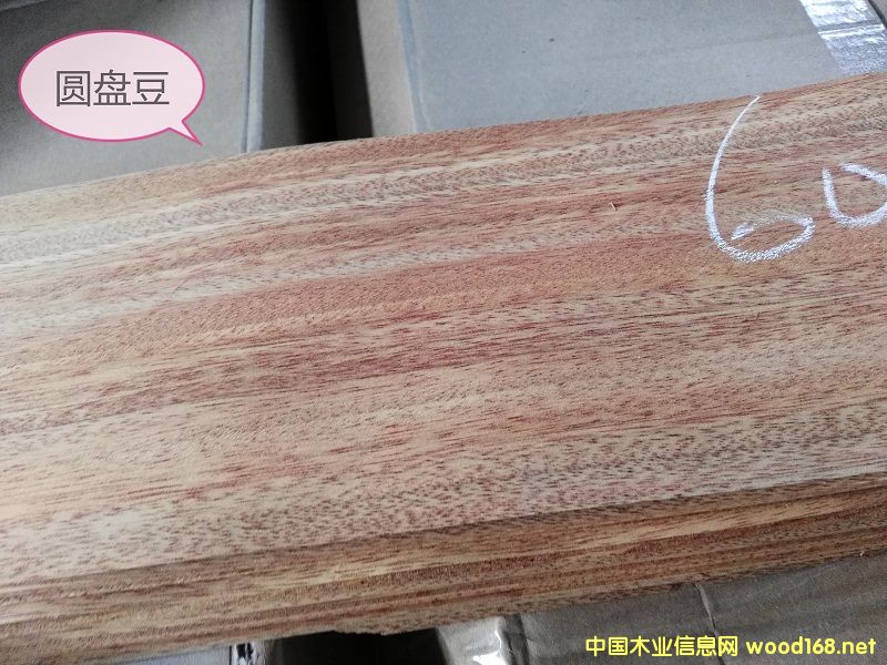 0.6�A�P����Ԕ��(x��)��B