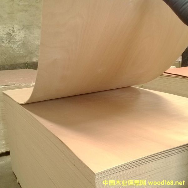 ���B(t��i)�z�ϰ��������z�ϰ������Ӱ�S��ֱ�N