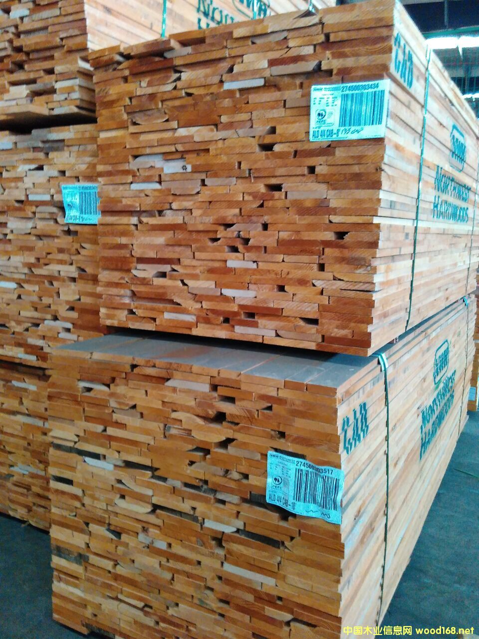 赤楊的詳細介紹