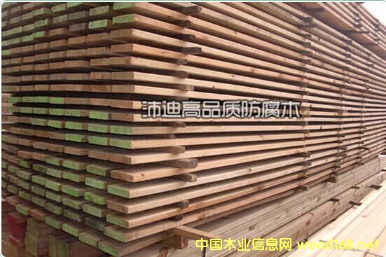 ���ɱ���̼��ľ