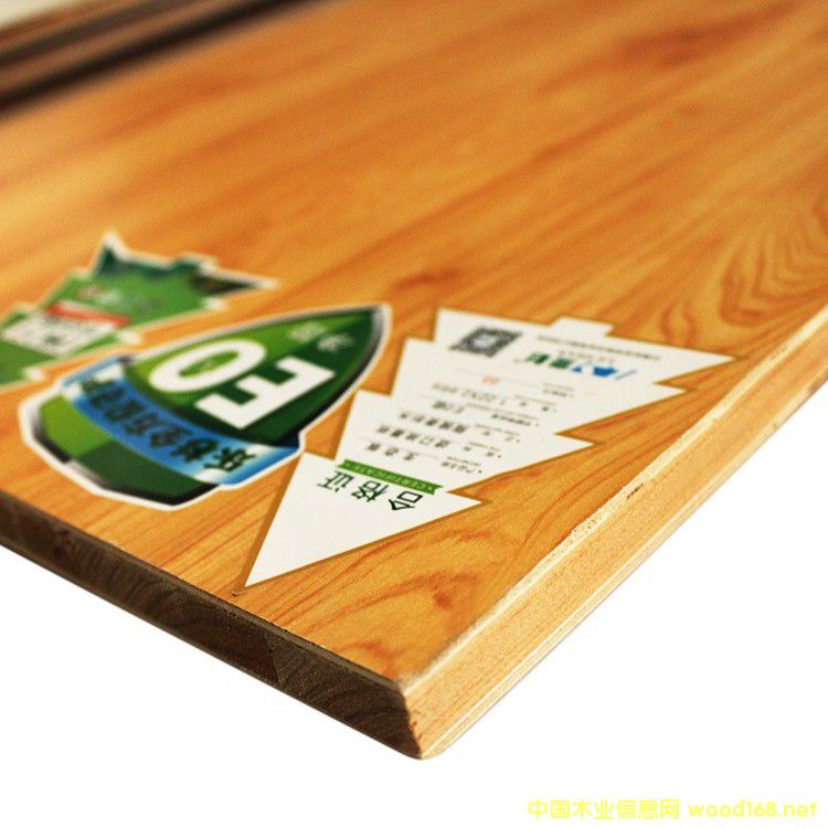 秋蘭飄香的詳細(xì)介紹