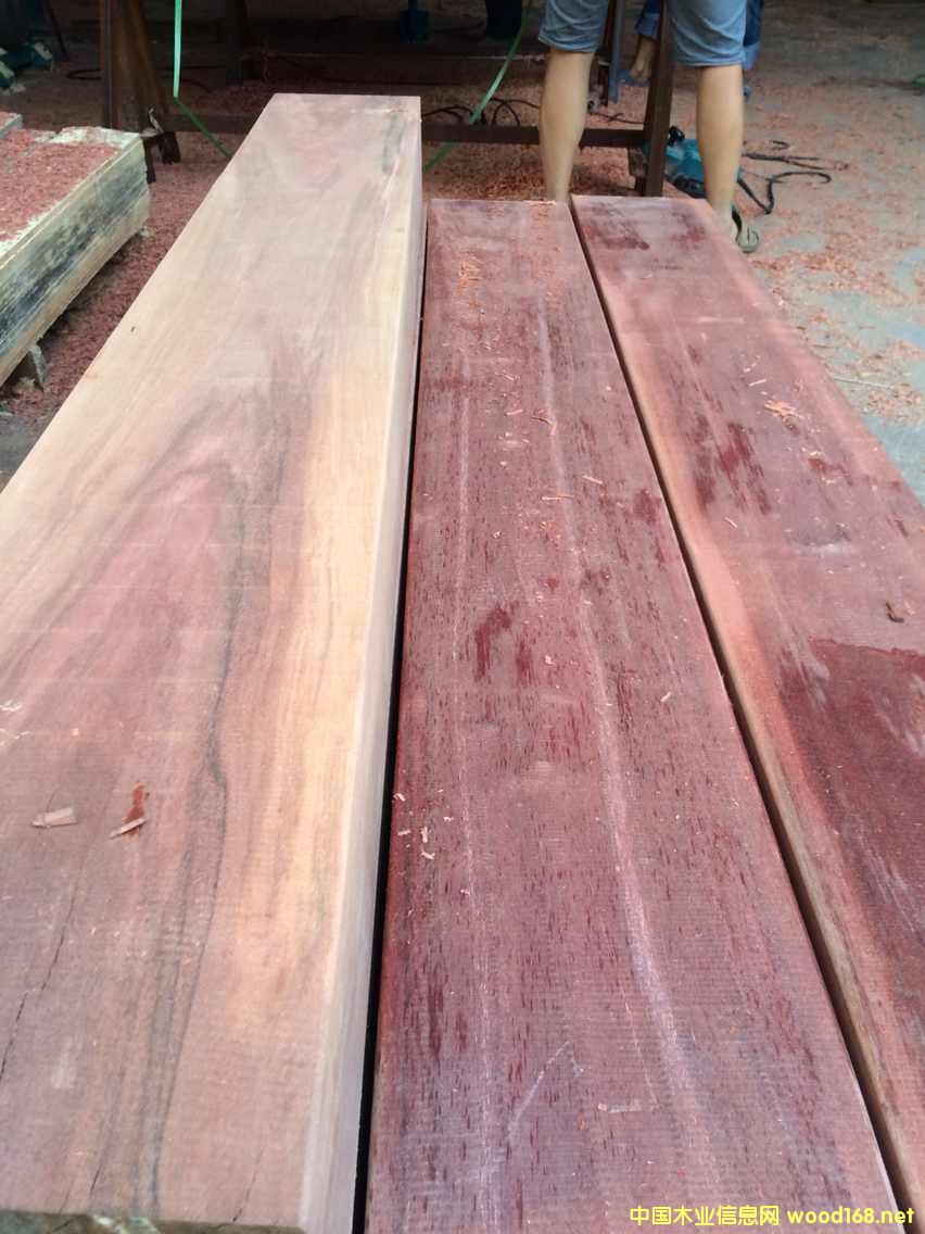 ɽ��ľ��Ԕ����B