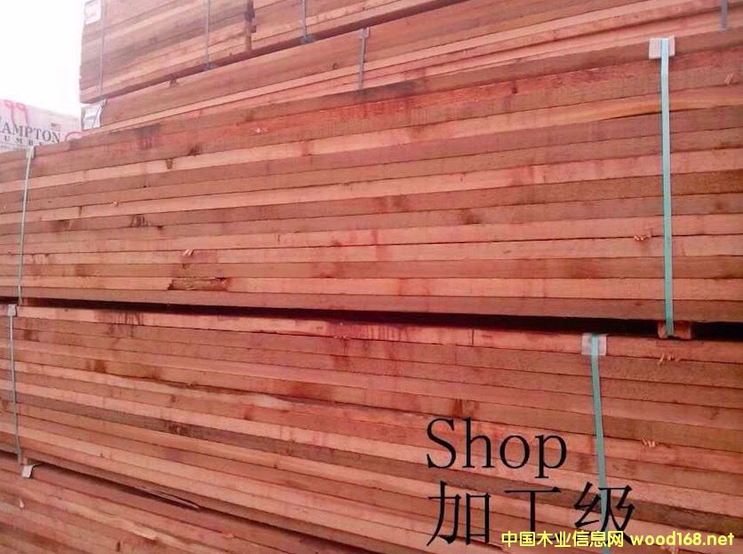 ���ô�tѩ�ɵ�Ԕ����B