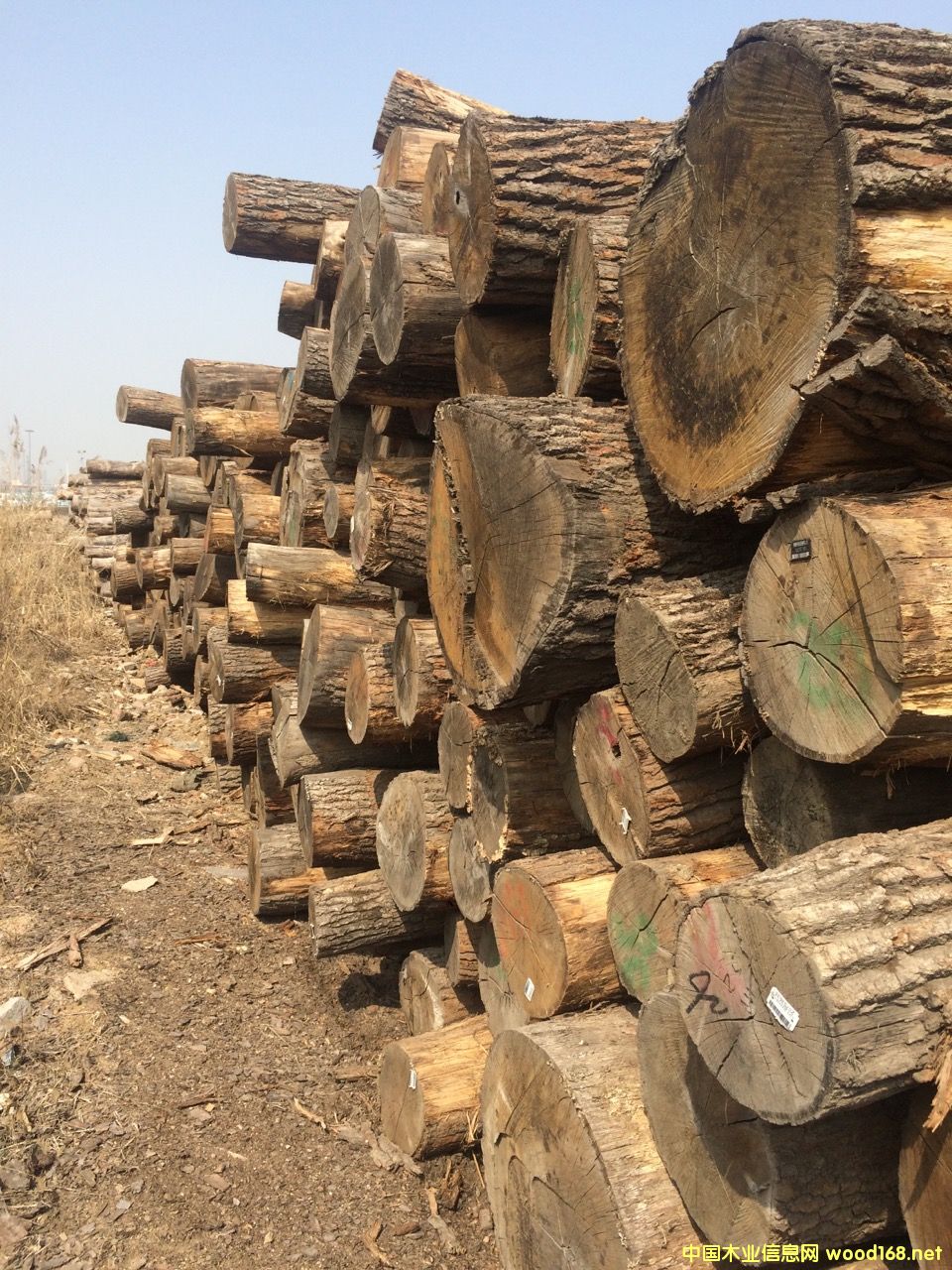 �W����ľ��Ԕ��(x��)��B