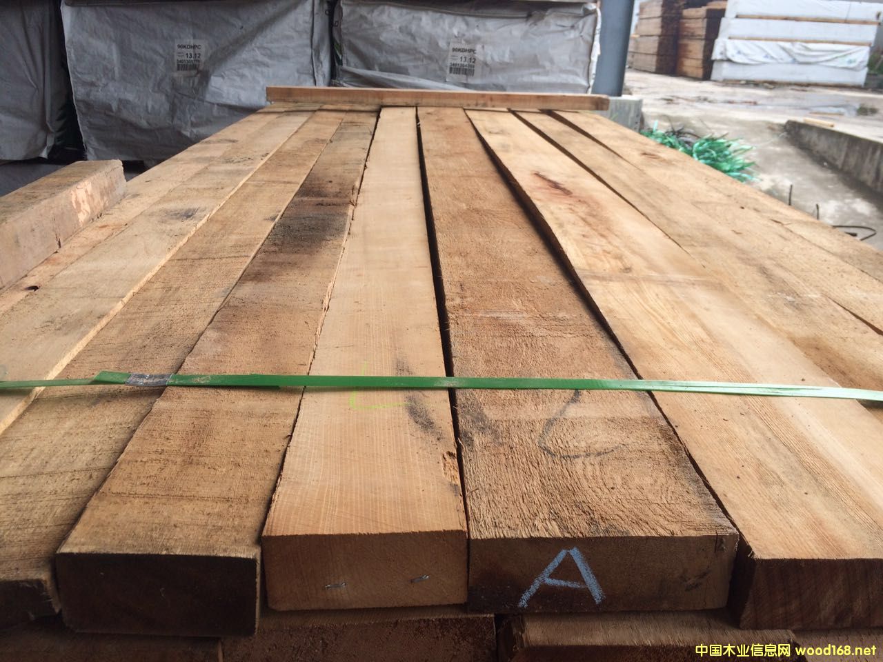 [��] �o��(ji��)�Fɼ�����