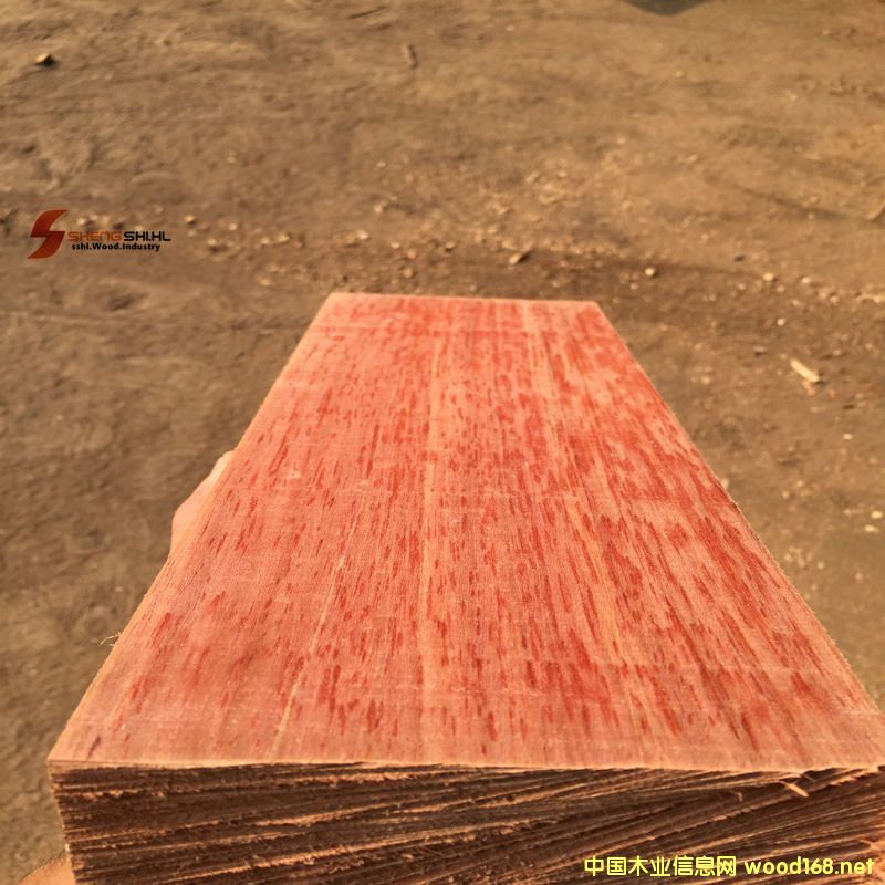 �y��ľ��Ԕ����B