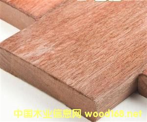 ɽ��ľ��Ԕ����B