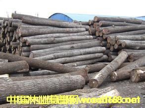 ԭľ��Ԕ����B