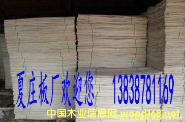 ��ľ�Aо��Ԕ����B