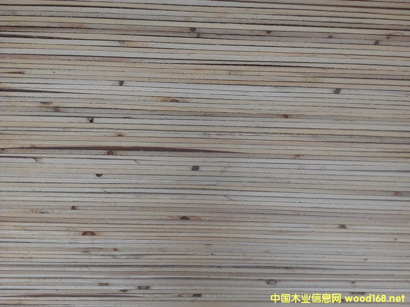 杉木床板的詳細(xì)介紹