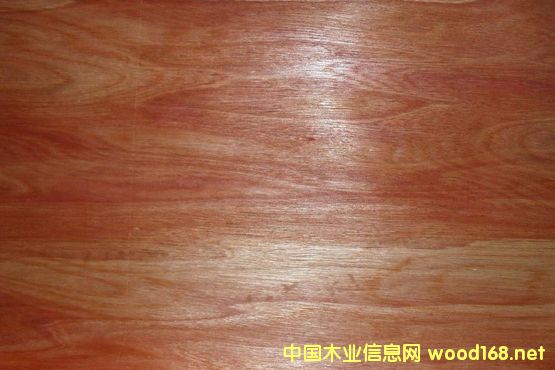 �sľ�t���Ԕ����B