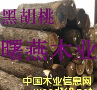 �ں���ľԭľ�������ľ��