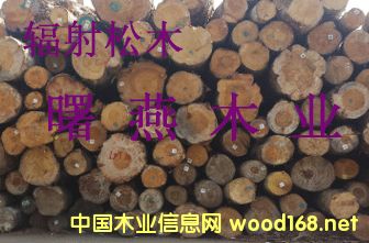 �����mݗ����ԭľ