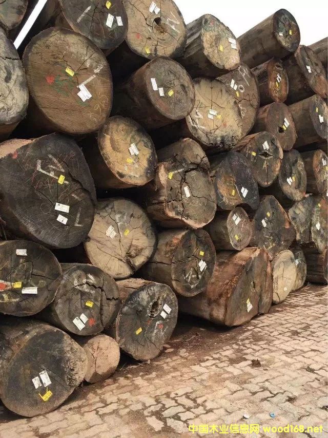 �W����Ԕ��(x��)��B