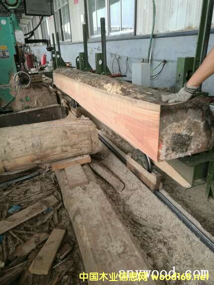 玫瑰木的詳細(xì)介紹