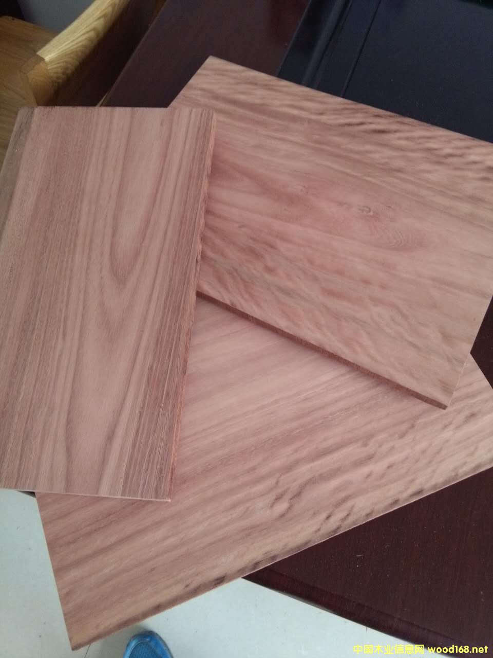 玫瑰木的詳細(xì)介紹