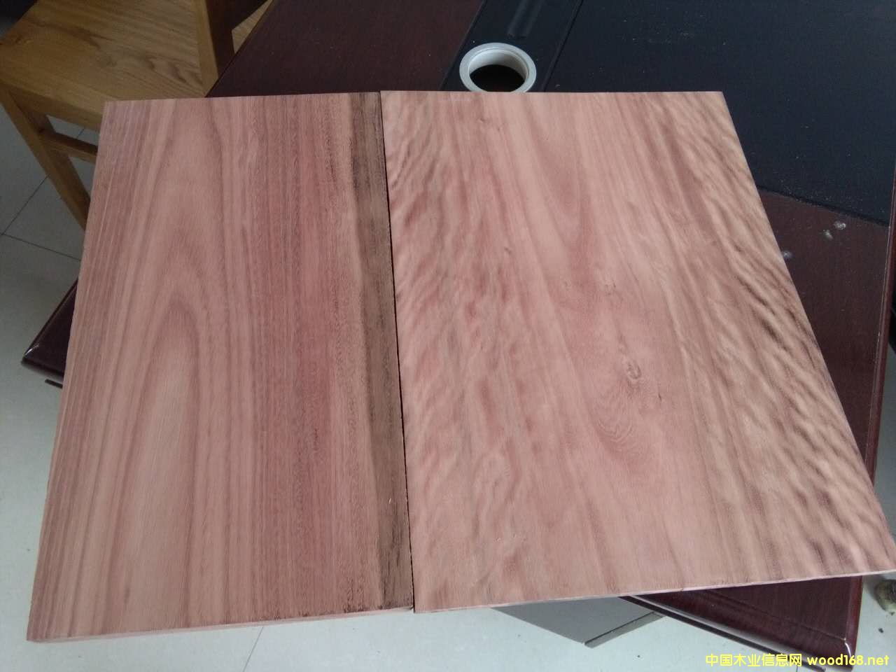 玫瑰木的詳細(xì)介紹