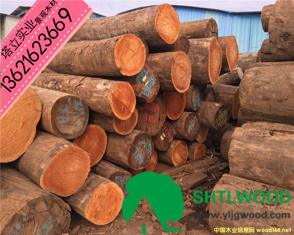 �̈́�ľ���t��ľ���t�������͵�ľ����ľ���y��ľ���ڂ��ҡ���ľ