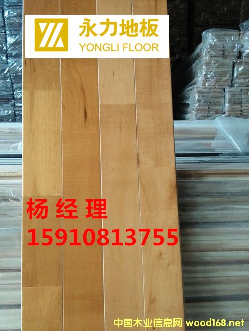 �w���\(y��n)��ľ�ذ�