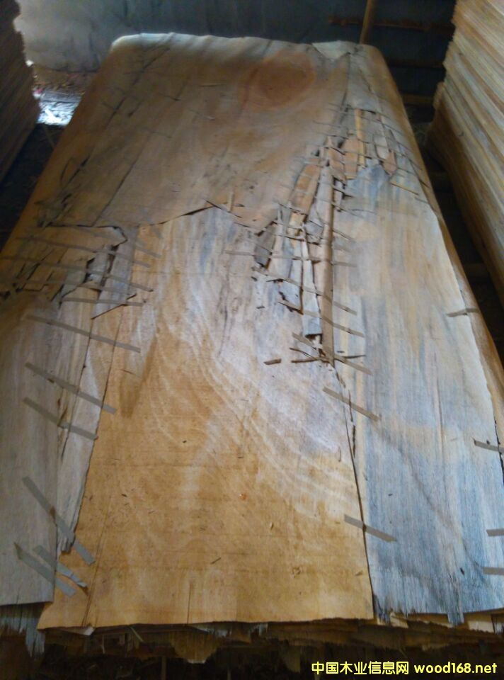 �W������Ԕ��(x��)��B