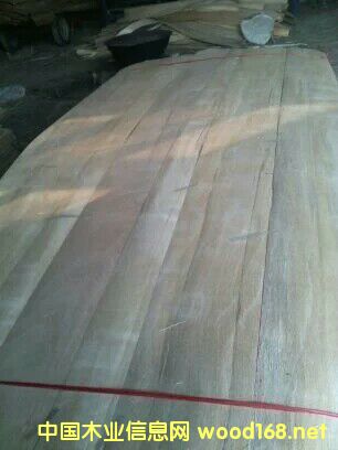 �W������Ԕ��(x��)��B